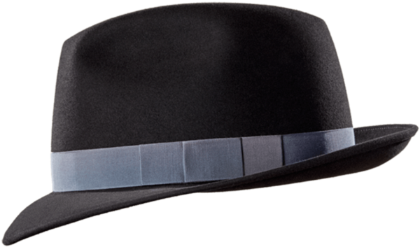 Swan Hat Ribbon Pro